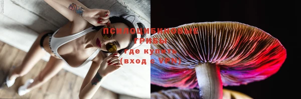 прущие грибы Медвежьегорск