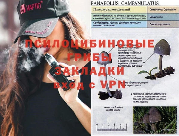 дживик Михайловка