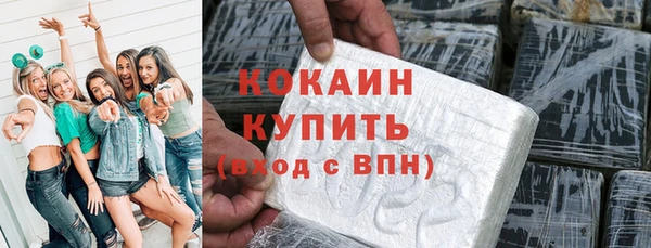 ПСИЛОЦИБИНОВЫЕ ГРИБЫ Михайлов