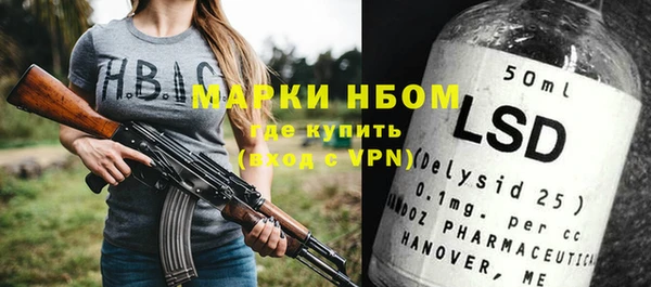 ПСИЛОЦИБИНОВЫЕ ГРИБЫ Михайлов