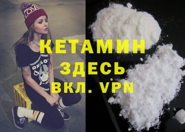 ПСИЛОЦИБИНОВЫЕ ГРИБЫ Михайлов