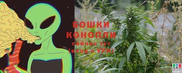ПСИЛОЦИБИНОВЫЕ ГРИБЫ Михайлов