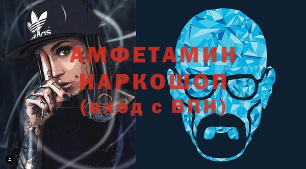 ПСИЛОЦИБИНОВЫЕ ГРИБЫ Михайлов