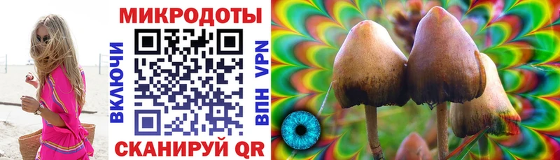 закладки  Чудово  OMG зеркало  Галлюциногенные грибы прущие грибы 