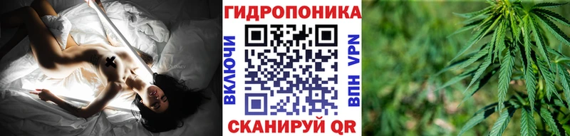 Канабис ГИДРОПОН  купить наркоту  Чудово 